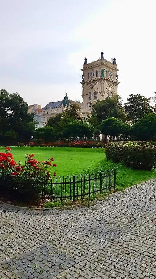 Cozy Studio In Vinohrady Prague