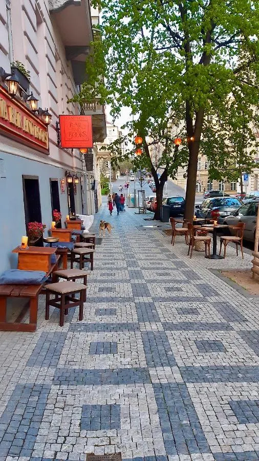Daire Cozy Studio In Vinohrady Prag Çek Cumhuriyeti